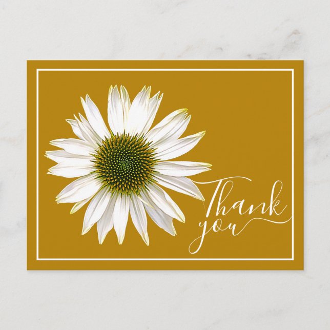 Carte Postale Remerciement de fond de moutarde de coneflower bla (Devant)