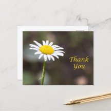 Remerciement en Fleur : Un Merci de Marguerite Sau