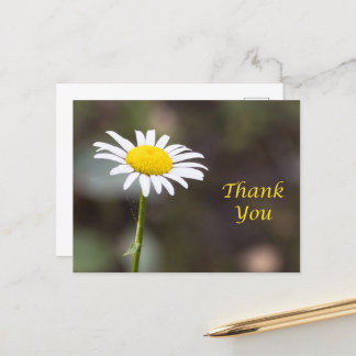 Carte Postale Remerciement en Fleur : Un Merci de Marguerite Sau