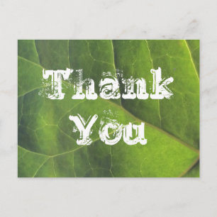 Carte Postale Remerciement Feuille Verte Brillante Appréciation