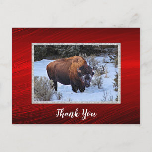 Carte Postale Remerciement pour la photo de neige à Buffalo