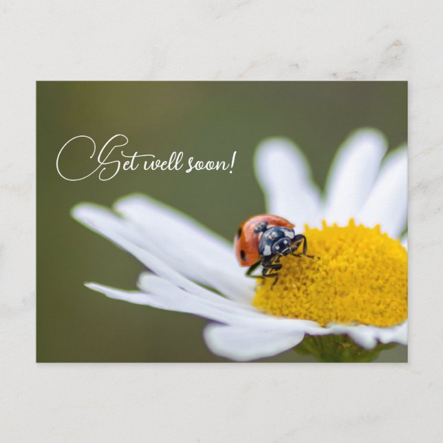 Carte Postale Remets-toi vite avec les petites coccinelles migno (Devant)