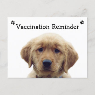 Carte postale Reminder Puppy