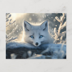 Carte Postale Renard arctique aux yeux bleus submergeants