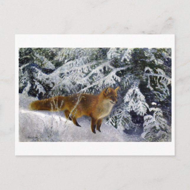 Carte Postale Renard en hiver (1904) par Bruno Liljefors (Devant)