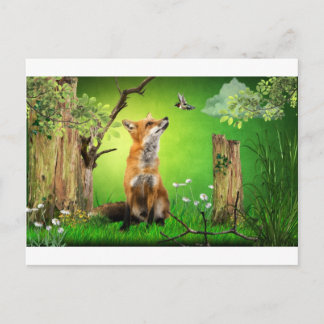 Carte Postale renard et colibri