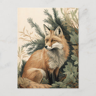 Carte Postale Renard rouge