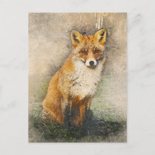 Carte Postale Renard rouge