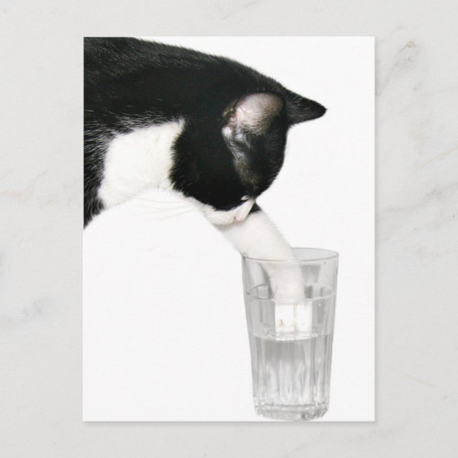 Carte Postale Rencontrez-moi pour prendre un verre (Devant)