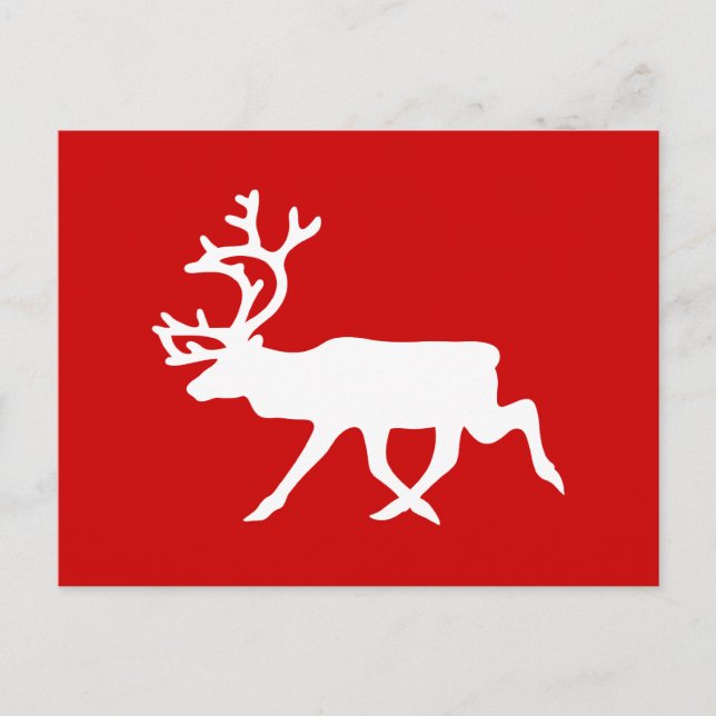Carte Postale Rennes blanches / Silhouette caribou (Devant)