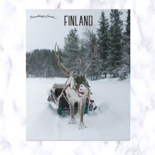 Carte Postale Rennes en Kittilä Laponie Finlande