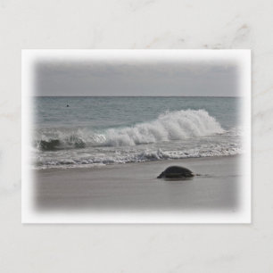 Carte Postale Rentrer à la maison