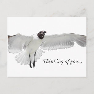 Carte Postale Répandre Ces Ailes PNG Penser À Vous