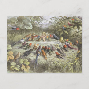 Carte Postale Répétition Vintage au Pays des Fées