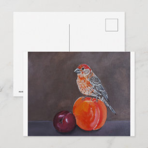 Carte Postale Repos de midi du roselin familier - Peinture d'Alf