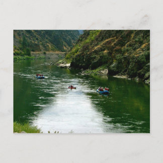 Carte Postale Repose de la rivière saumon