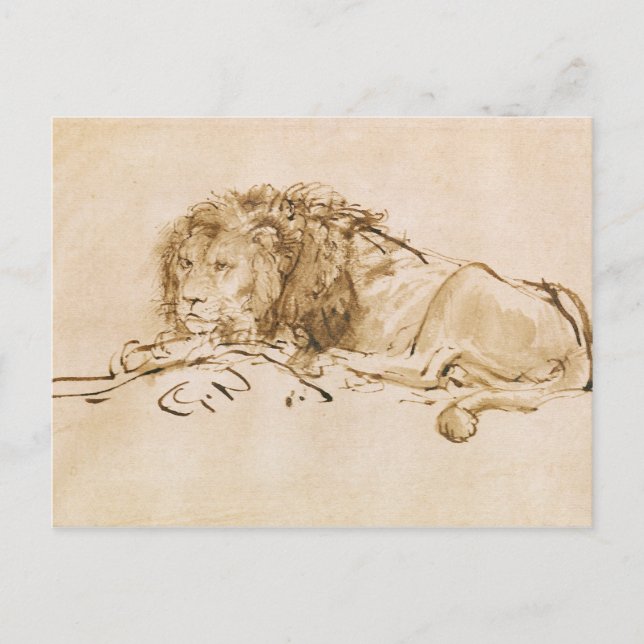 Carte Postale Repose de lion (stylo et encre sur papier) (Devant)