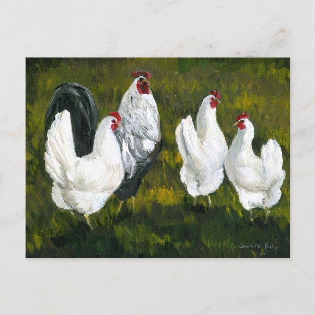 Carte postale Reproduction d'art "poules et coq" (Devant)