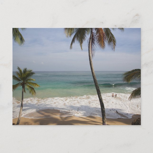 Carte Postale République Dominicaine, Côte Nord, Abreu, Playa 4 (Devant)