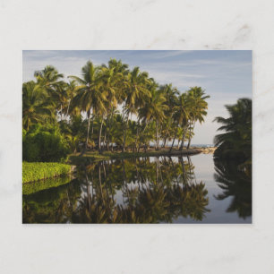 Carte Postale République dominicaine, côte nord, Nagua, Playa
