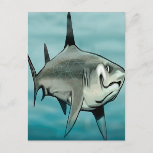 Carte Postale Requin