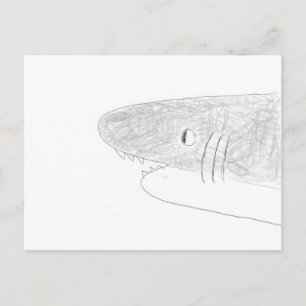 Carte Postale Requin