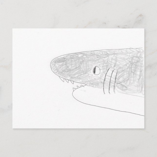 Carte Postale Requin (Devant)
