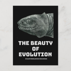 Carte Postale Requin de beauté de l'évolution