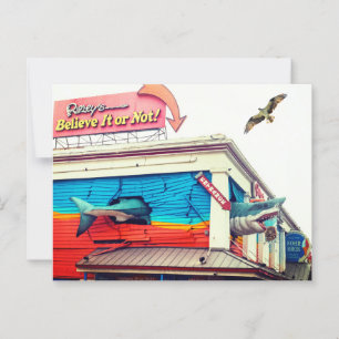 Carte Postale Requin et balbuzard pêcheur