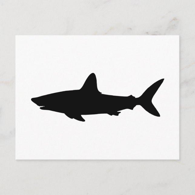 Carte Postale Requin nageant (Devant)