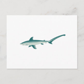Carte Postale Requin thresher