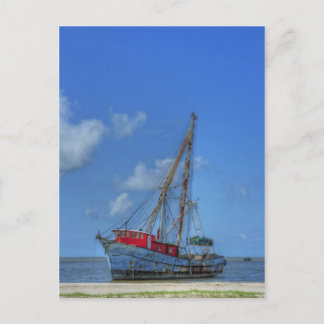 Carte Postale Requin tigre