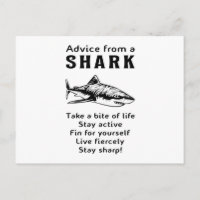 Requins Poisson Mer Ailette De Requin Cool Cadeau