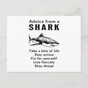 Carte Postale Requins Poisson Requin de mer Fin Cool Océan Drôle