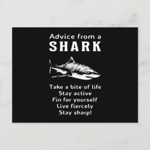 Carte Postale Requins Poisson Requin Mer Fin Océan Drôle Idée ca