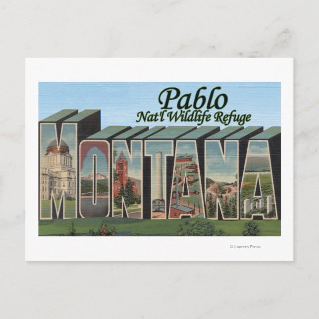 Carte Postale Réserve faunique de Pablo Nat'l, Montana (Devant)
