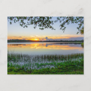 Carte Postale Réserve George Lestrange, Fort Pierce, Floride