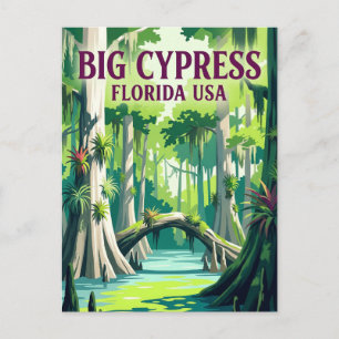 Carte Postale Réserve nationale Big Cypress USA
