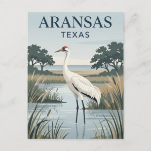 Carte Postale Réserve nationale de faune d'Aransas États-Unis