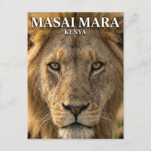 Carte Postale Réserve nationale du Masai Mara Kenya