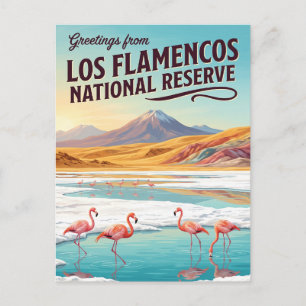 Carte Postale Réserve nationale Los Flamencos Chili