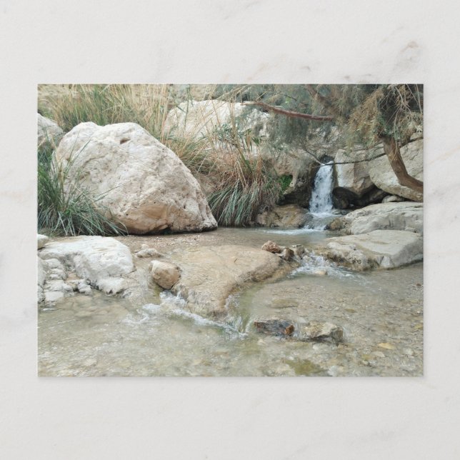 Carte Postale Réserve naturelle d'Ein Gedi, Israël (Devant)