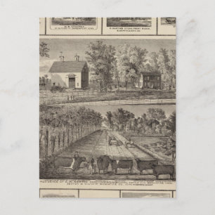 Carte Postale Résidences et entreprises en Muscatine