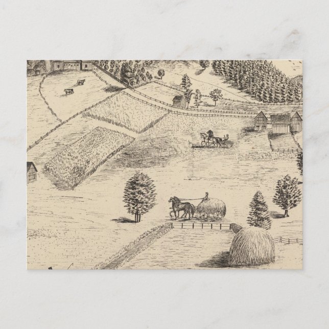 Carte Postale Résidences et ferme à New Haven (Devant)