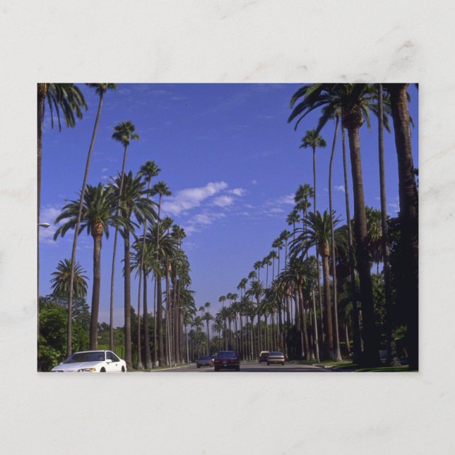 Carte Postale Résidentiel Rodeo Drive, Beverly Hills, Californie (Devant)