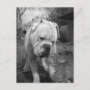 Carte Postale respect