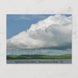 Carte Postale Ressort dans le delta