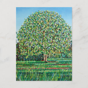 Carte Postale Ressort de l'arbre du fond