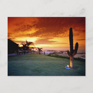 Carte Postale Restaurant La Concha, Baja, Mexique