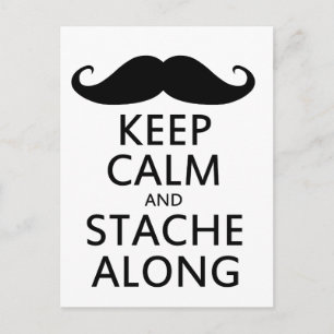 Carte Postale Restez calme et stache le long